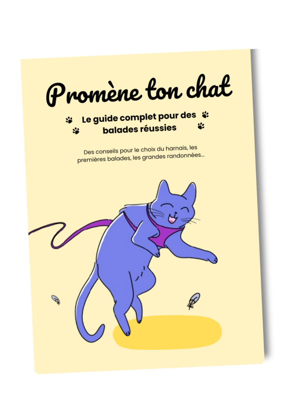 Couverture du guide à télécharger pour promener son chat en laisse