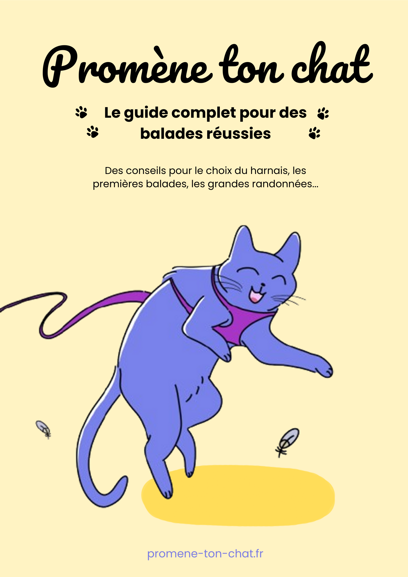 Guide - Promener son chat