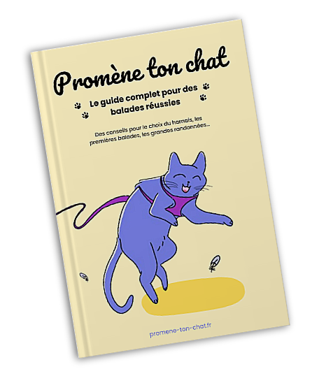 Promene-ton-chat-livre-3D
