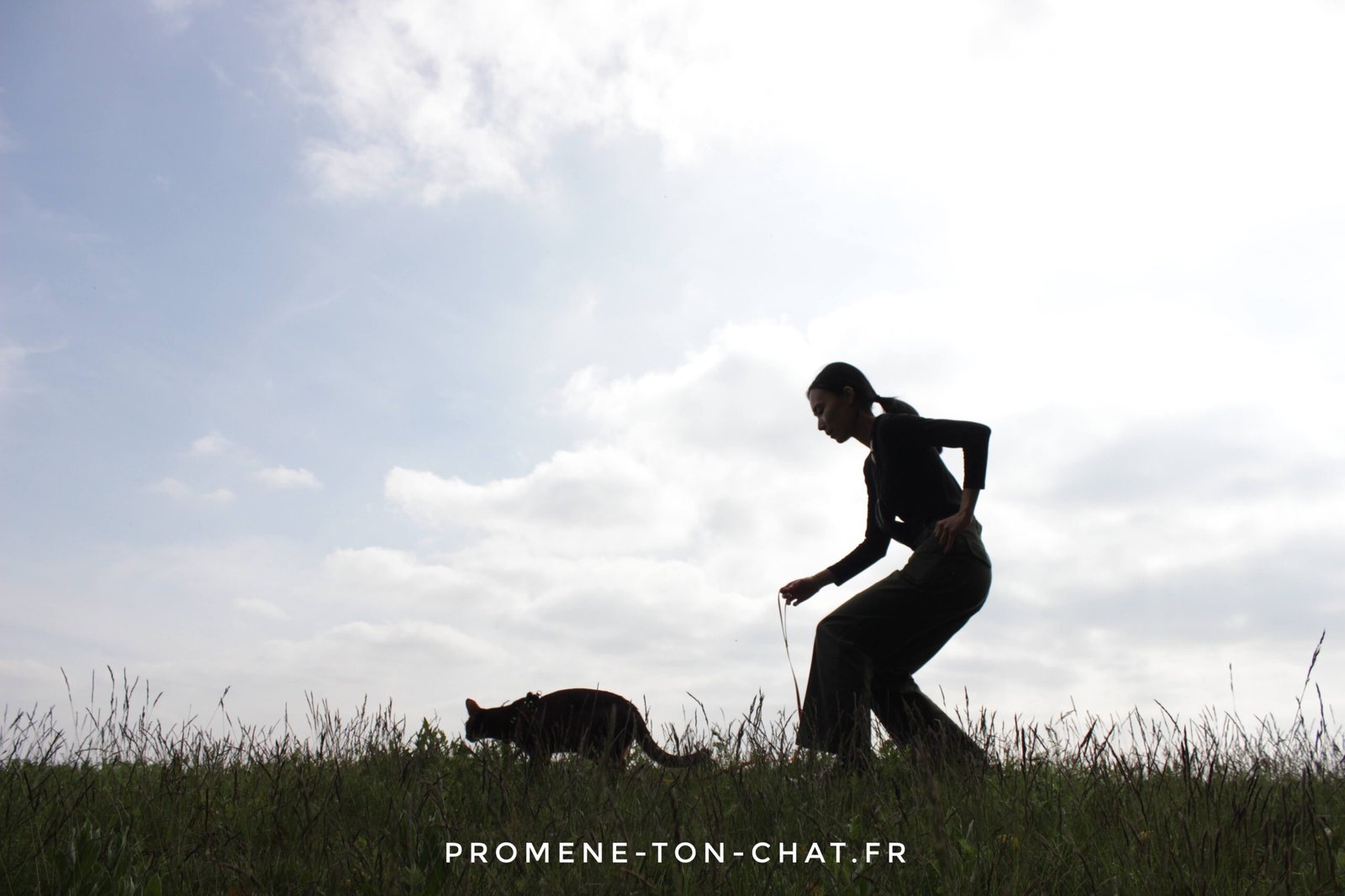 Article de Promène Ton Chat : comment faire en sorte que mon chat me suive en balade