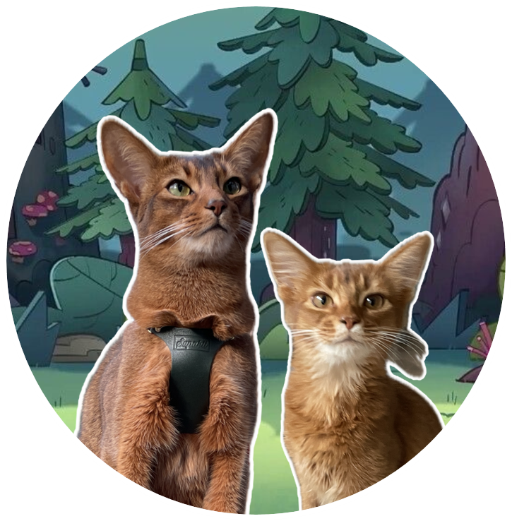 promene-ton-chat.fr