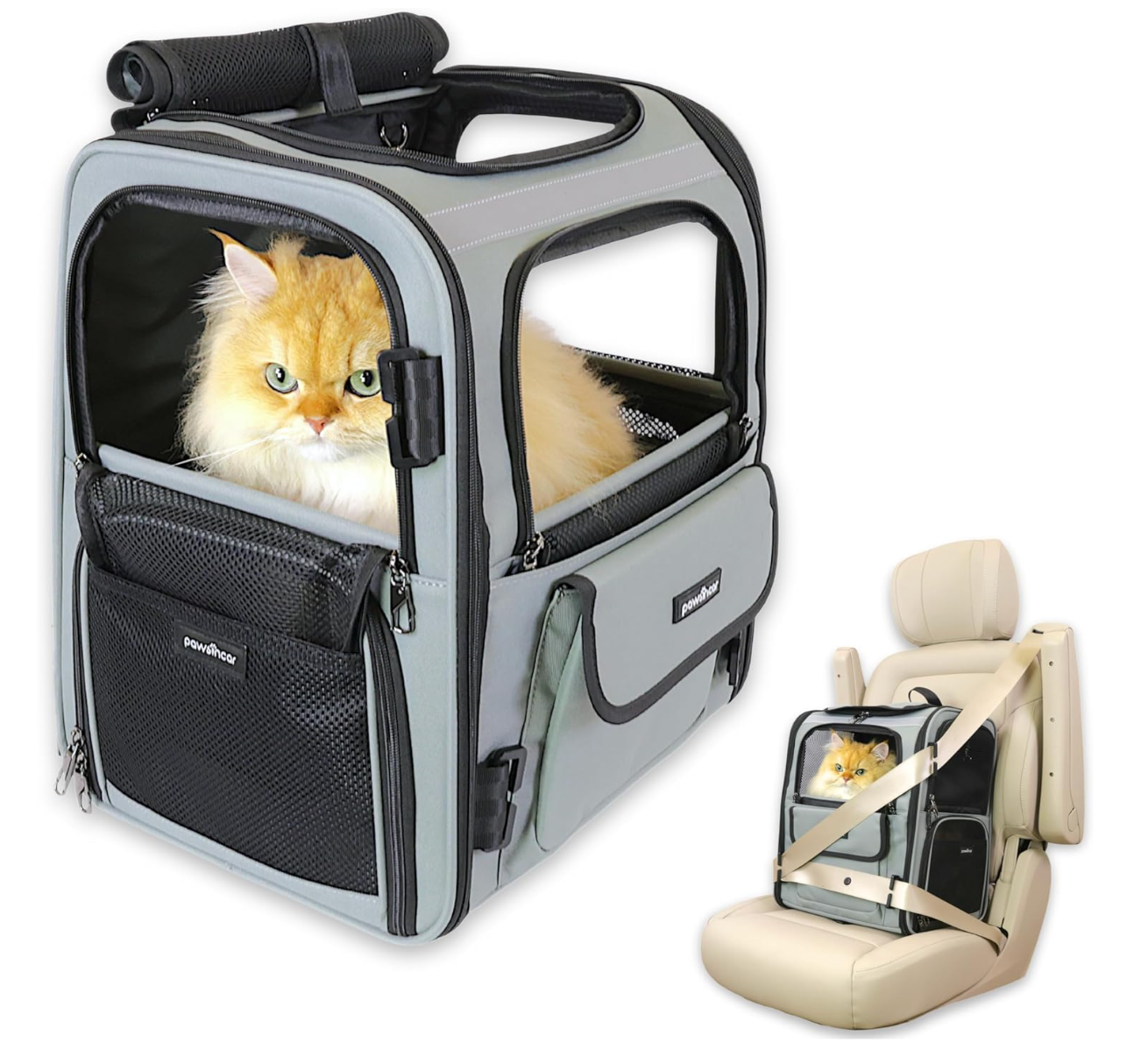 quel sac à dos pour chat