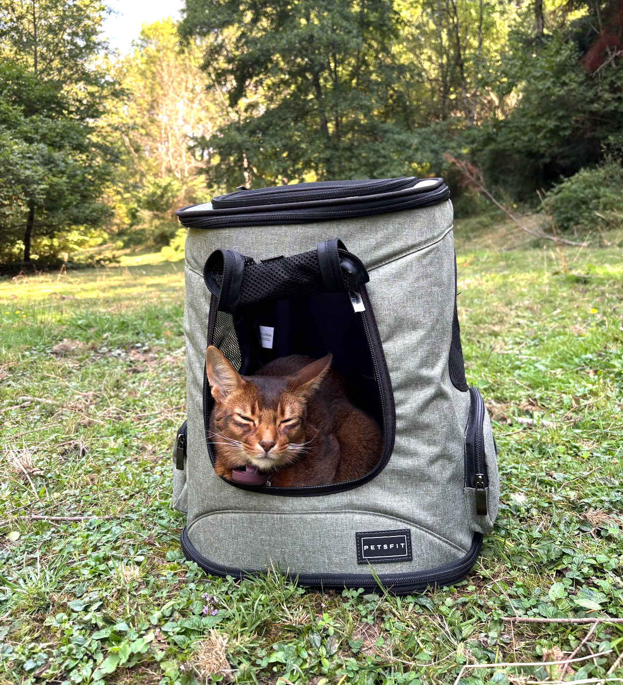 sac à dos pour chat