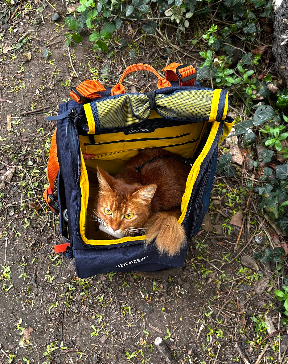 sac de transport pour chat