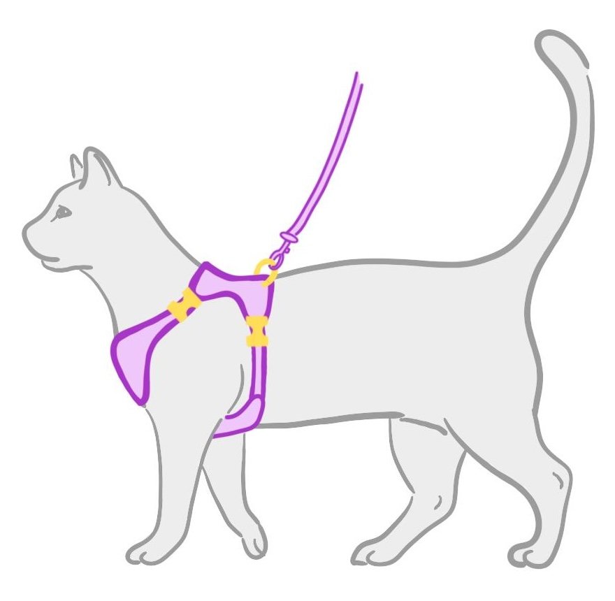 Types de harnais pour chat