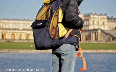 Comment choisir le bon sac de transport pour son chat