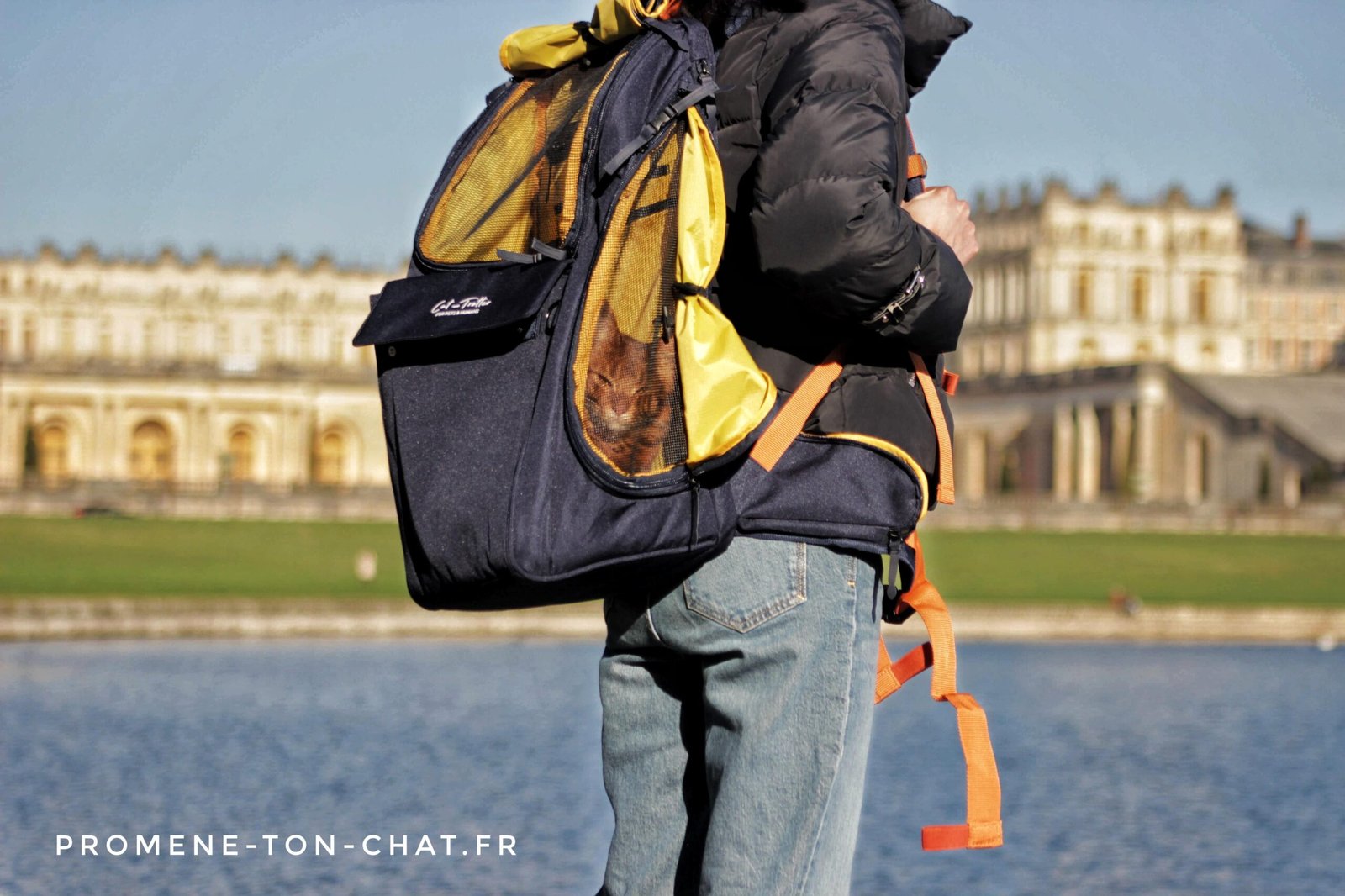 Cha'venturier dans un sac de transport