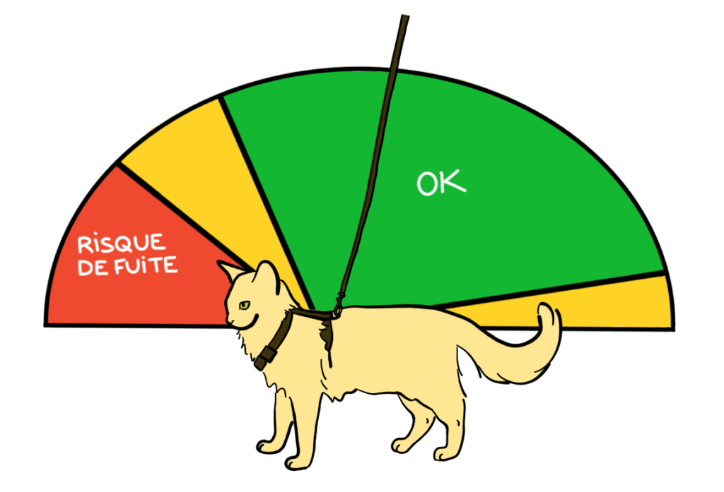 position de la laisse pour éviter que le chat s'échappe