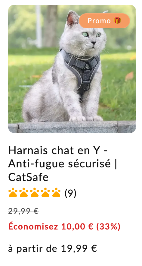 promener son chat en laisse avis