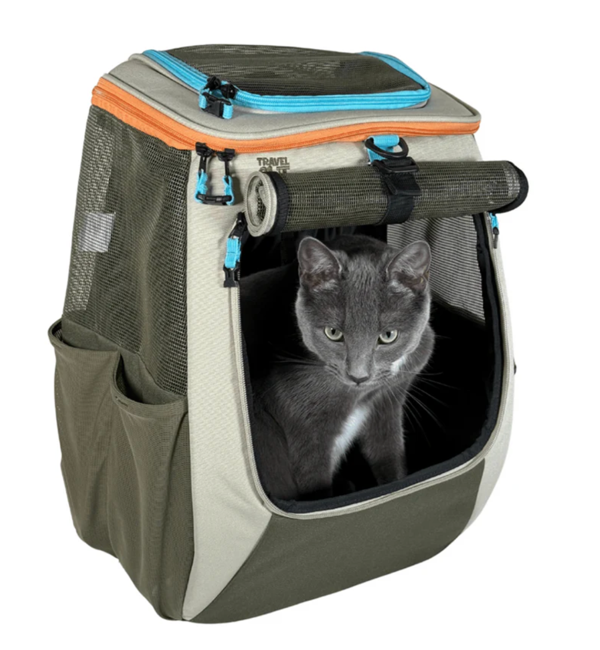 sac à dos pour grand chat