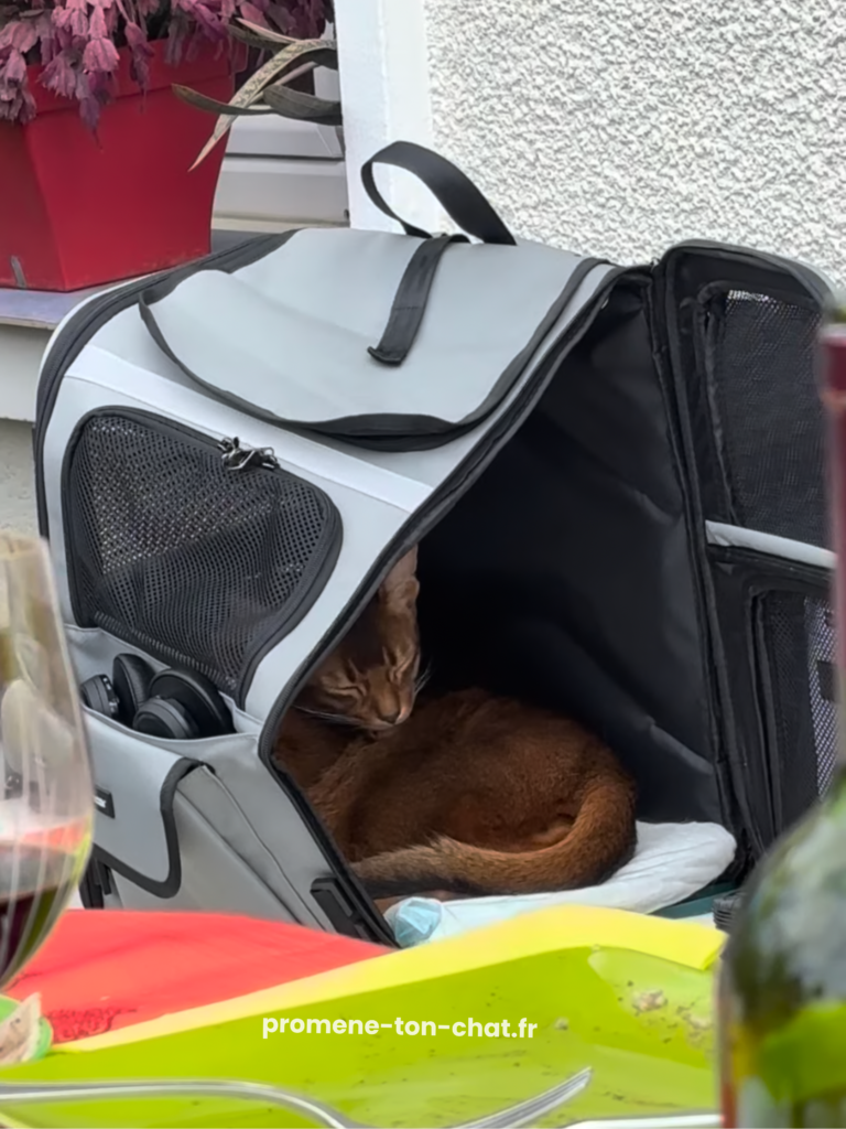 sac à dos pawsincar