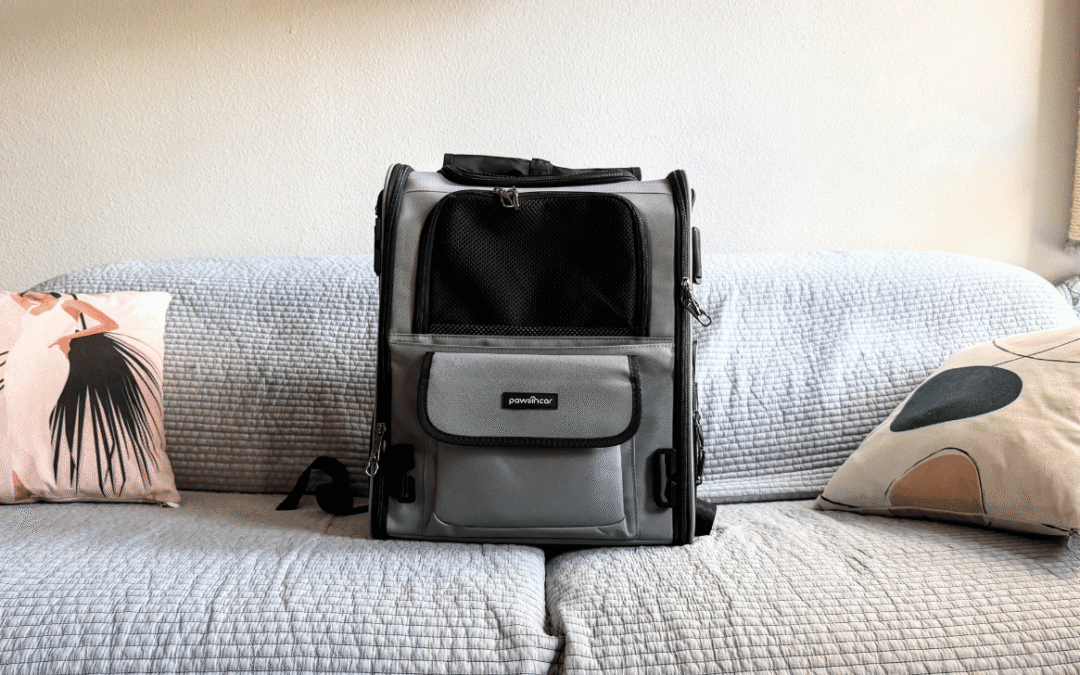 Review complet : Sac à dos crash-testé PawsInCar