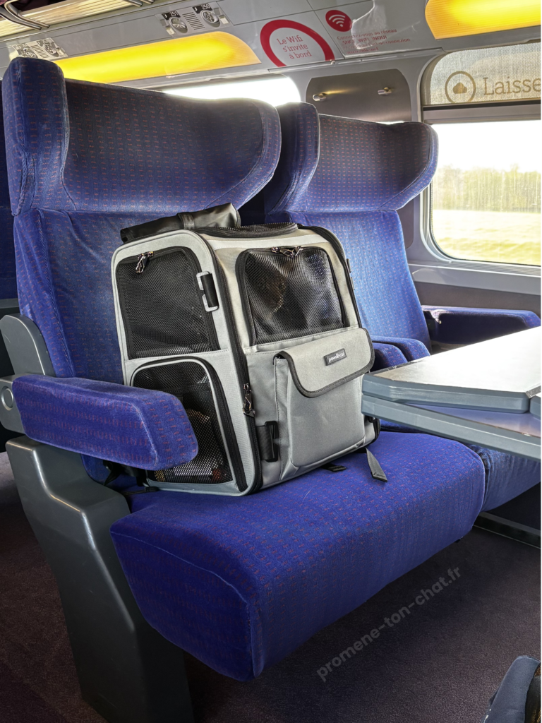avis sac à dos crash testé pawsincar