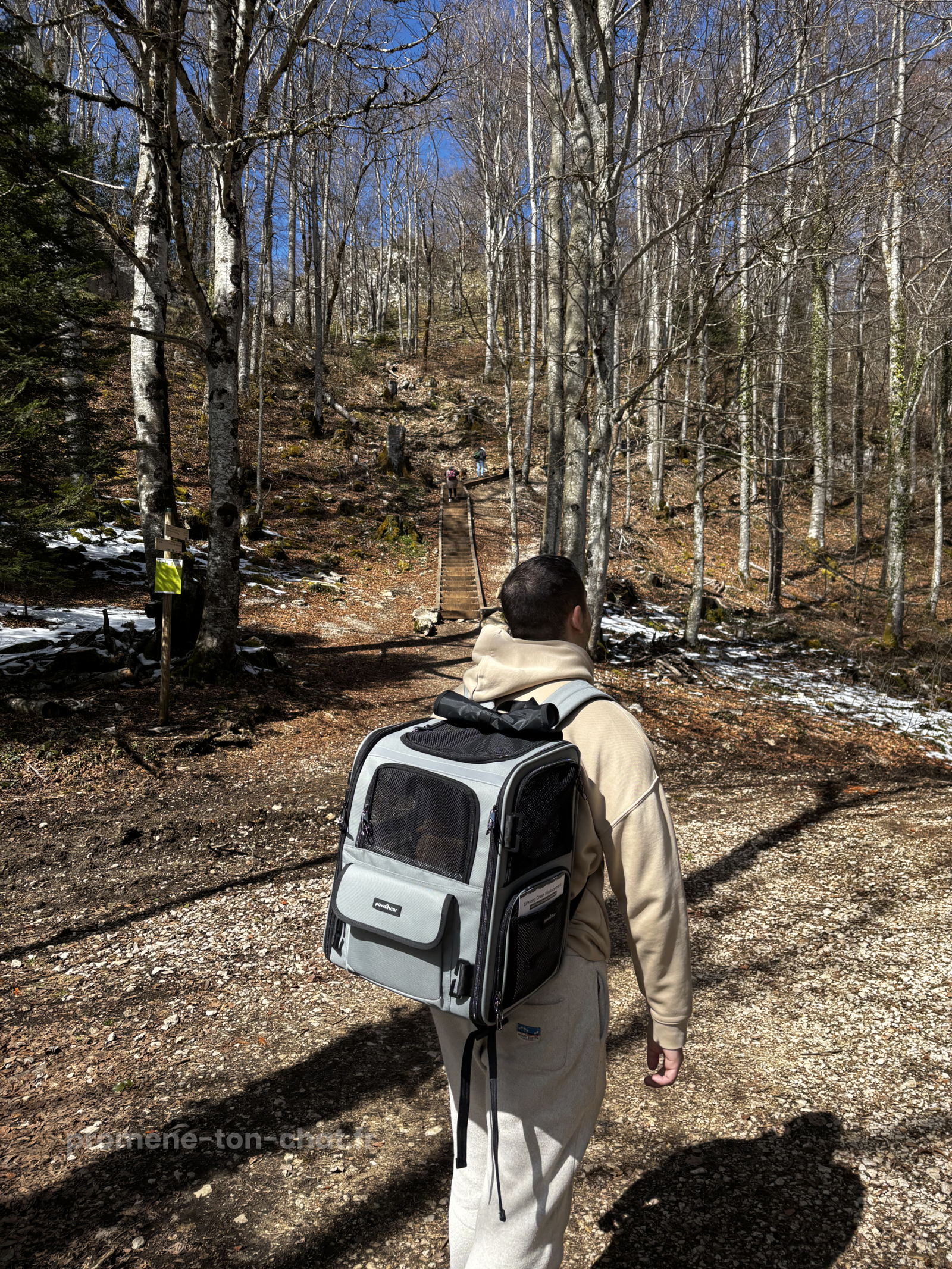 avis sac à dos crash testé pawsincar