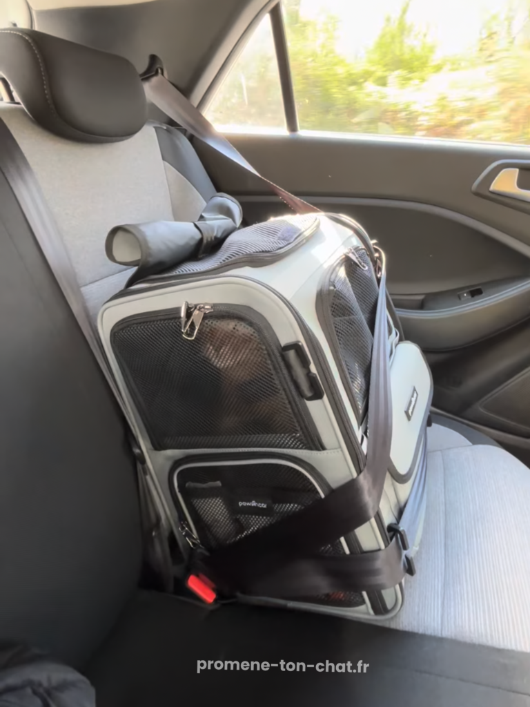 sac à dos crash testé pawsincar avis