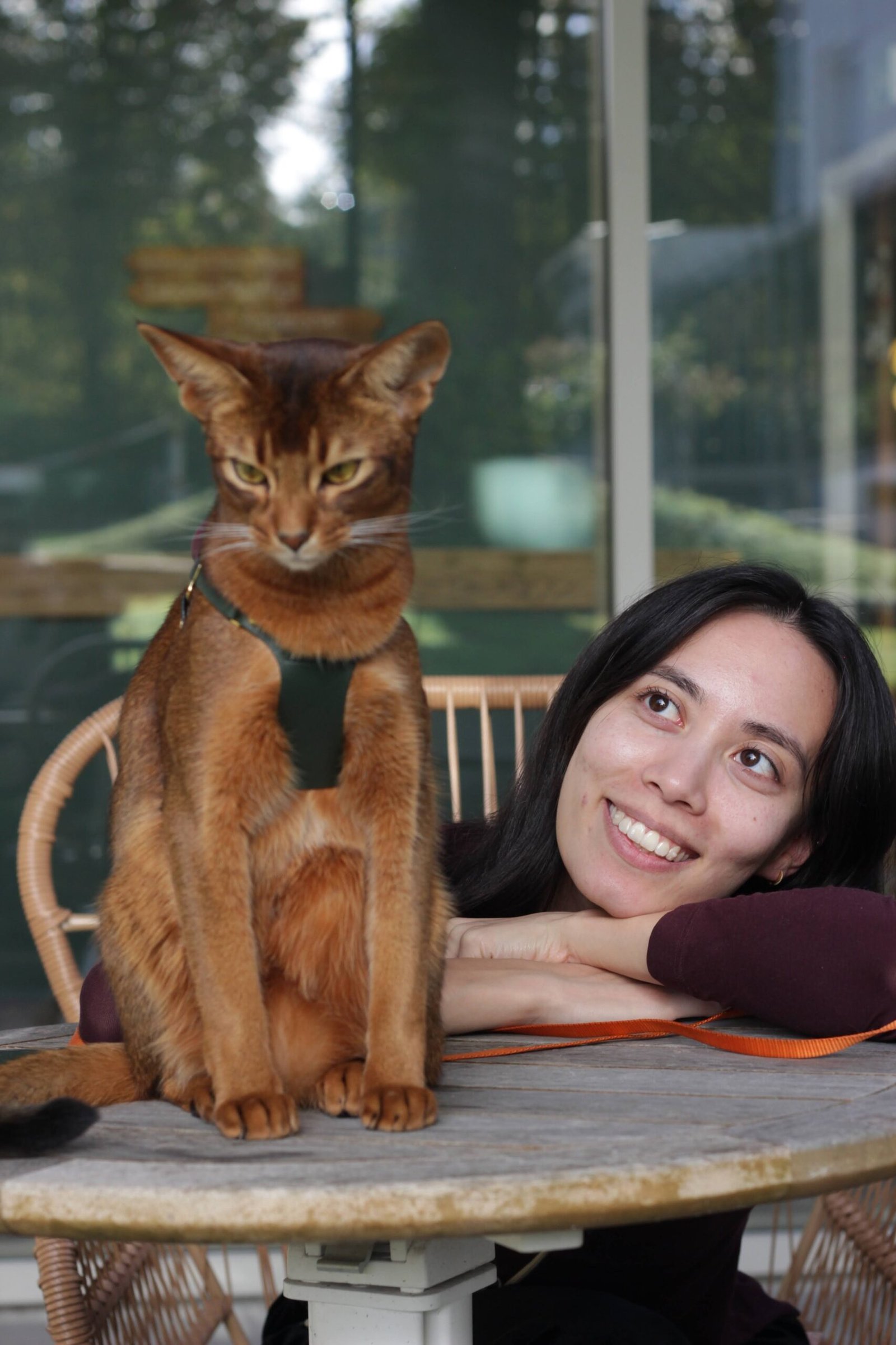 a-propos-promene-ton-chat